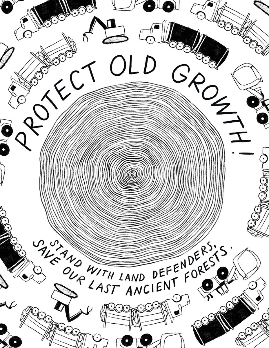 Charlotte Parent tweet media