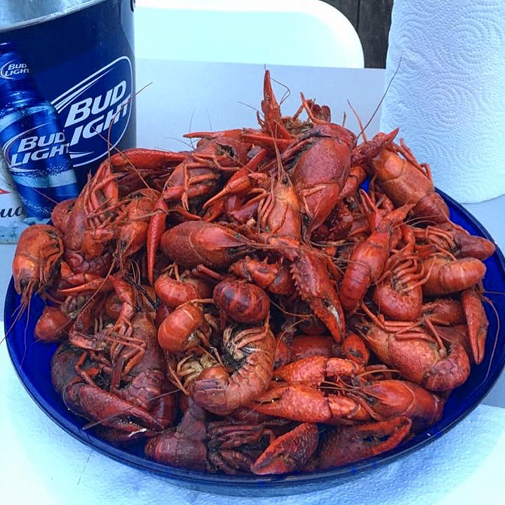 Mudbugs047's tweet photo. It’s one of the last Sunday Fundays at Mudbugs before the season ends!! Y’all better get here and enjoy a few lbs of your favorite crawfish and a bucket of your favorite beer!! We open at 12pm!! See y’all soon!! #crawfish #beer #craftbeer #dinner #greatfood #goodtimes #livemusic https://t.co/e4JtJBCOgb