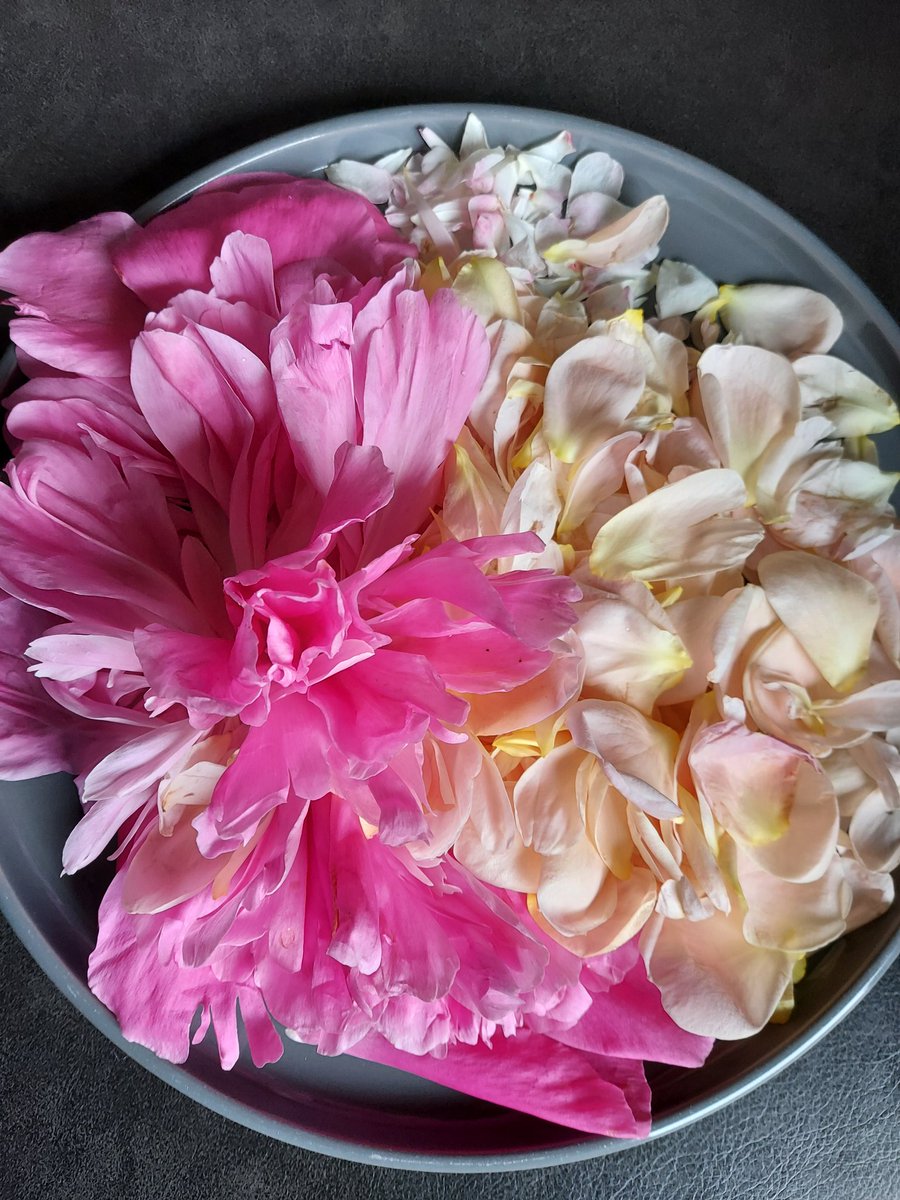 A_v_E_28's tweet photo. Hieraus mach ich jetzt
( Pfingst-) Rosensirup
#TwitterInspiration https://t.co/3rhTZsCpTo