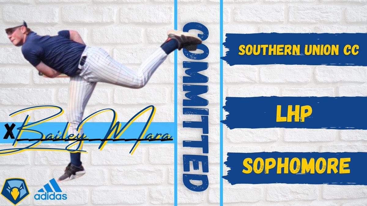 🚨COMMITTED🚨
Please welcome @BaileyMara3 to the Skyhawk Family! #TogetherWeFly #ArmFarm💪