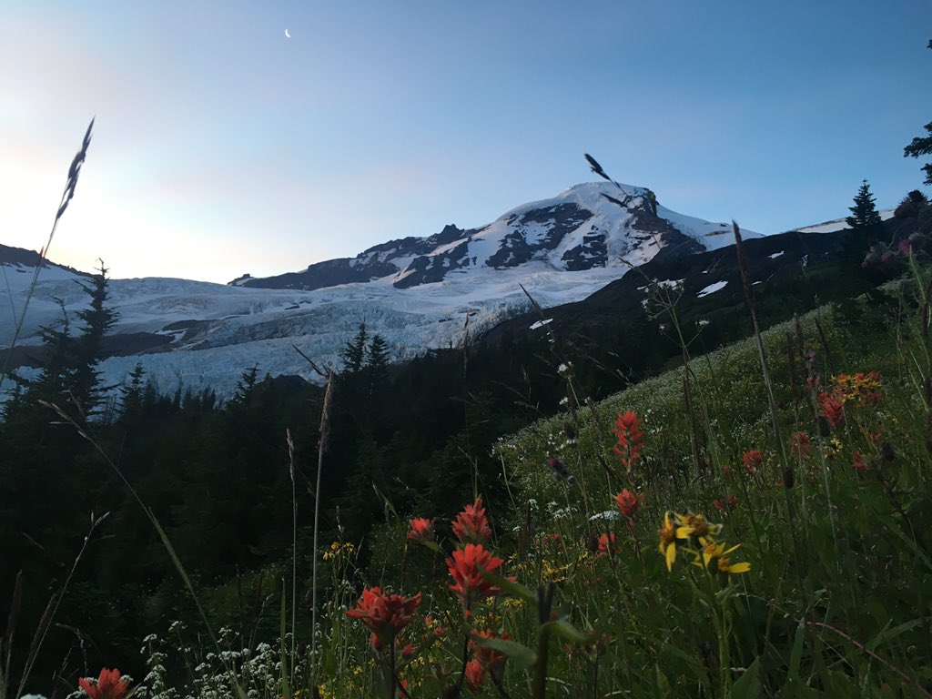 ForestServiceNW's tweet photo. “Heaven is under our feet as well as over our heads.”

—Henry David Thoreau

#SundayMorning https://t.co/1gA4TNvsq6