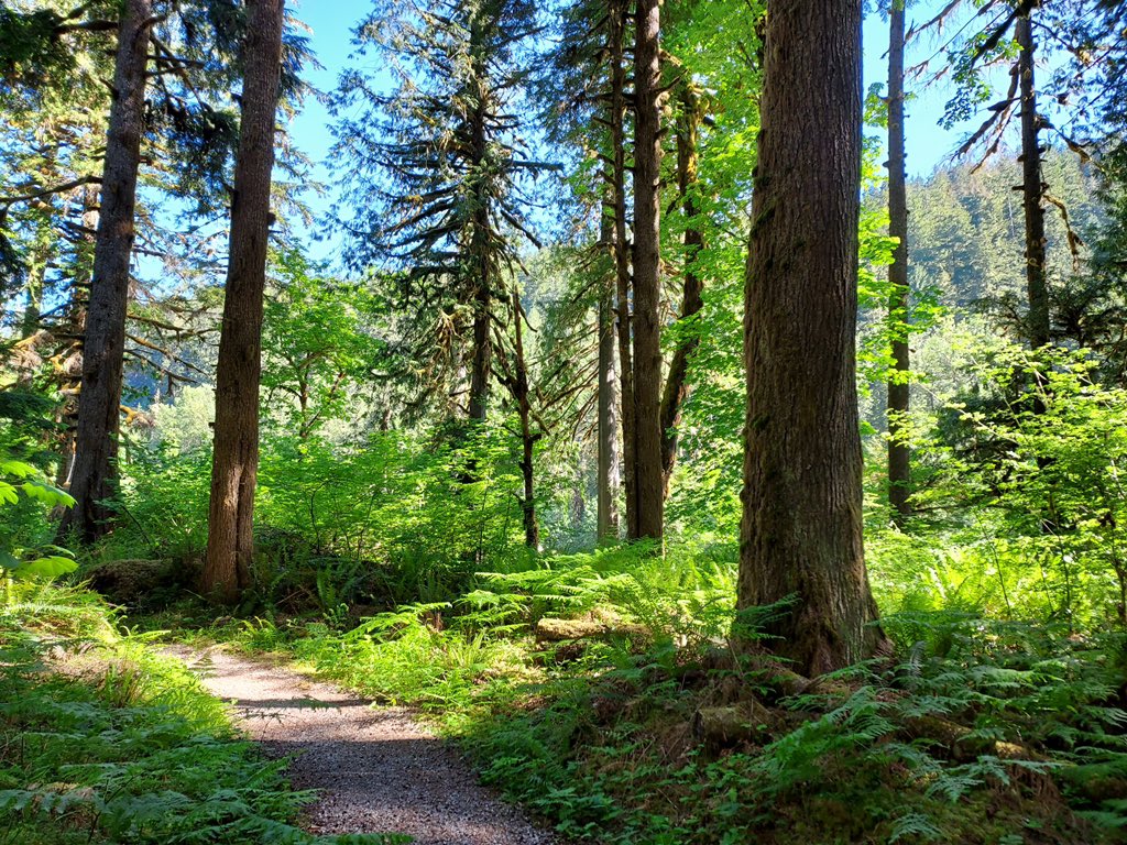 ForestServiceNW's tweet photo. “Heaven is under our feet as well as over our heads.”

—Henry David Thoreau

#SundayMorning https://t.co/1gA4TNvsq6