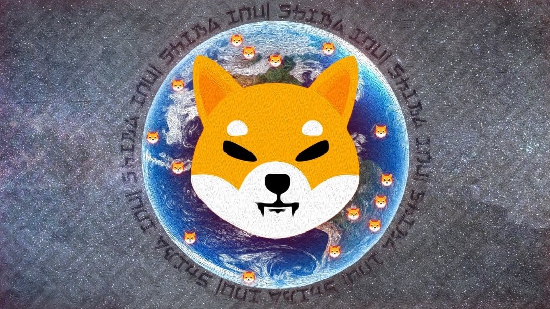 ZSeske's tweet photo. #ShibaCoin #Shibswap #shibainu #ShibaArmy https://t.co/iiRF5zGDMs