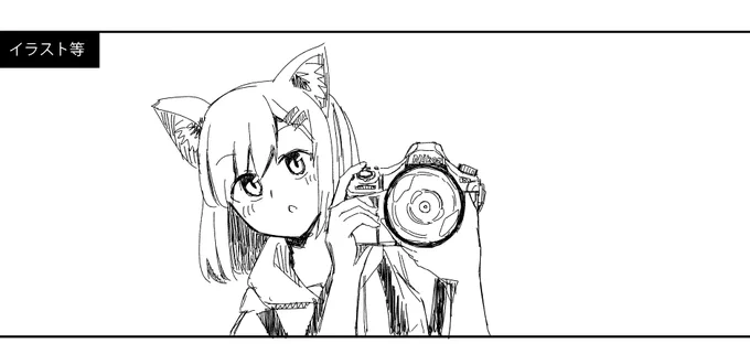 カメラ猫