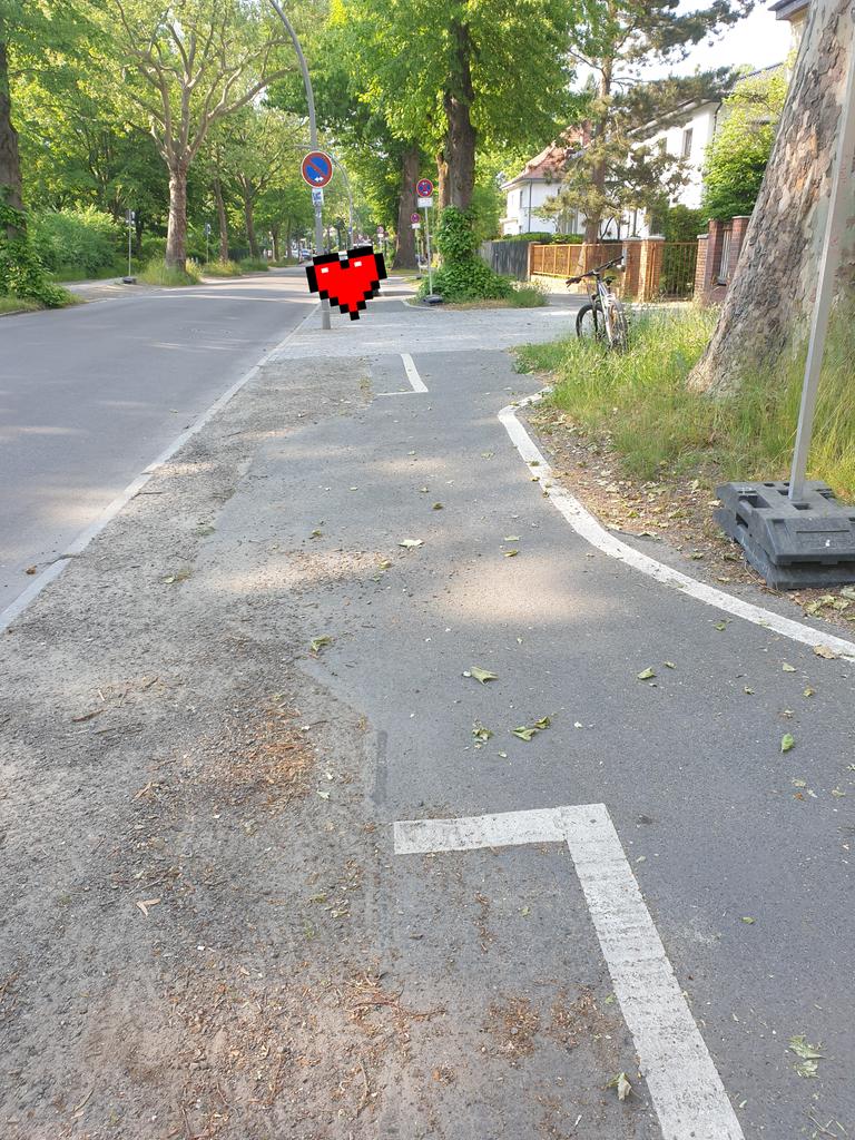 kevin_kreis's tweet photo. Neues aus der Serie "Radwege aus der Hölle". Hier in #Zehlendorf, an der Onkel-Tom Straße, dürfen Radfahrer:innen zwischen Bäumen und parkenden Autos Slalom fahren.

Ein Beweis dafür, dass hier nicht nur der Straßenname Nachbesserungsbedarf hat.

#dankedafür https://t.co/3EvU4ijeAi