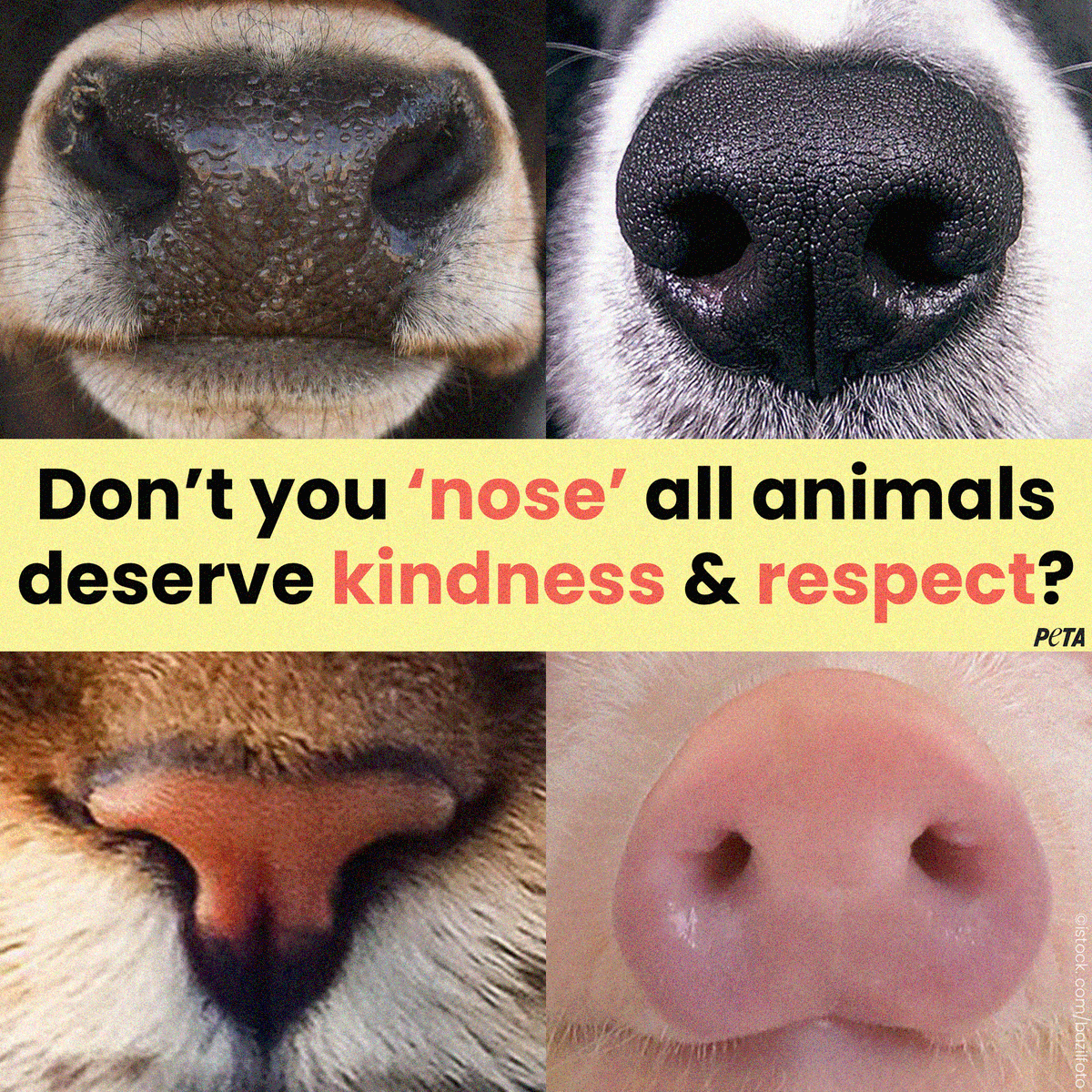 It’s that simple. #EndSpeciesism