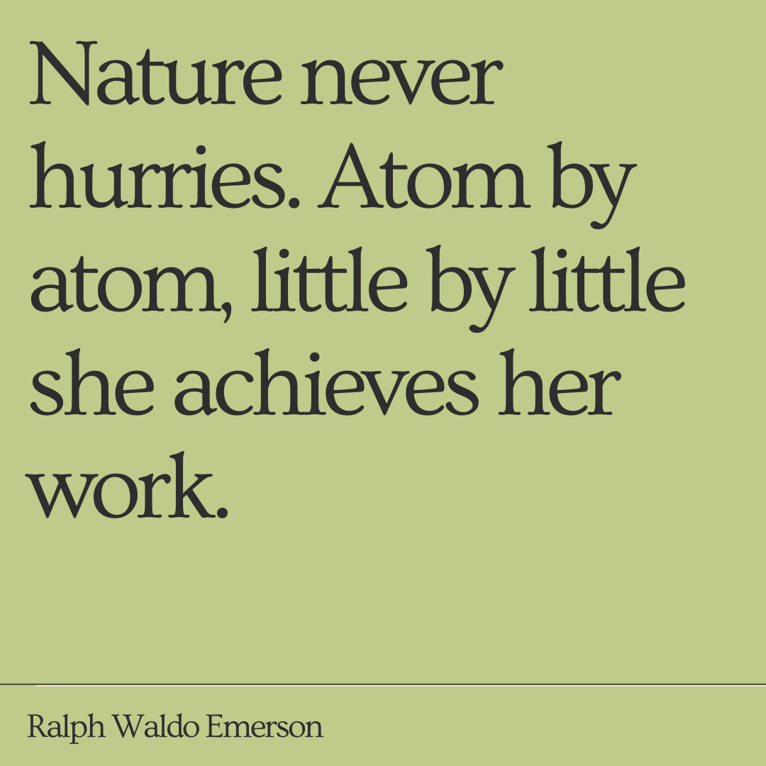 Nature is a wise woman.⁠
.⁠
.⁠
.⁠
⁠#wearewildginger #inspiredbynature #liveinthemoment #exploremore #wanderlust #getoutside ⁠#botanicalstyle #botanicalchic #naturelovers⁠ #pursuepretty #alltheprettyflowers #mentalhealth #recoveryisworthit #calmness #keepfighting #quotes