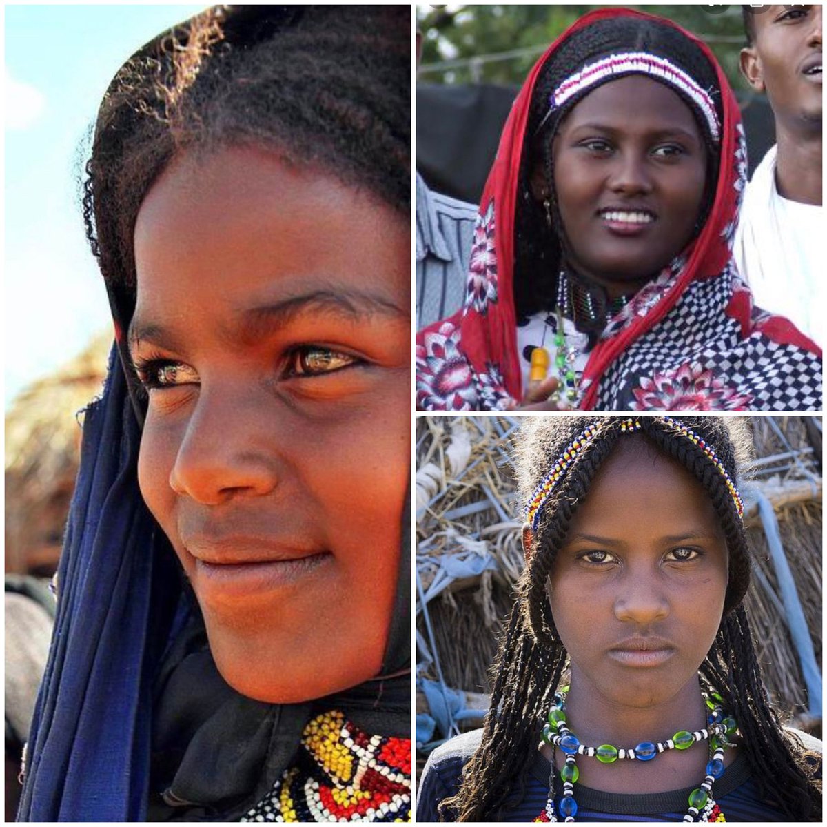 RWeldemariam's tweet photo. #GetTigrayFactRight stay on right side of #HoA s history donβt mess our bright future #TPLFwasTheCause #EritreaPrevails
@SenateForeign
@HouseForeign
@USAmbUN
@FCDOGovUK
@dfatirl
@Haavisto
@eu_eeas
@SweMFA
@NorwayMFA
@RonWyden
@SenJackyRosen
@SenBobCasey
@SenatorBennet
@G7 https://t.co/p0fXSFpaoR