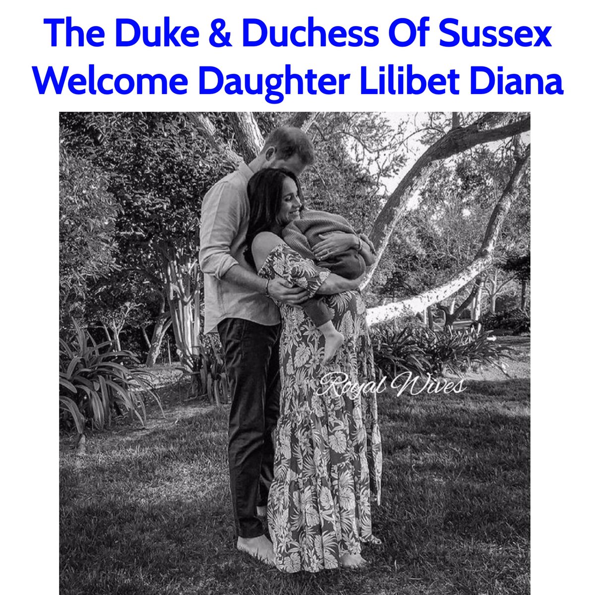 Royal Wives tweet media