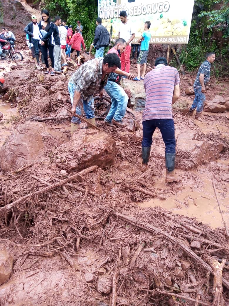 Williams Amaya tweet media