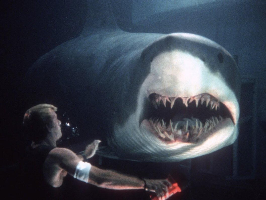 Julieann tweet media