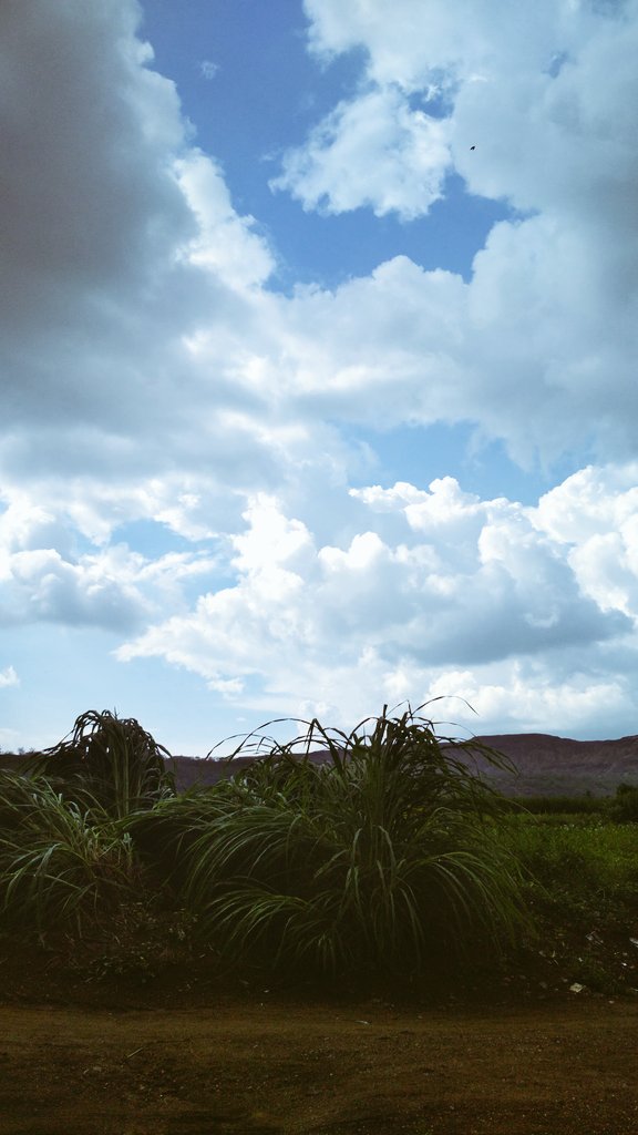Neha16751400's tweet photo. If you are happy doing what you are doing......then nobody can tell you your not successful...(writer " I don't know) 
#photographer #Village #villagertrade #Indian #PuneTwitter #PhotoOfTheDay #RENJUN #SkywardSwordHD #LifeGoesOn #LoveIsInTheAir #love #photograghy #PhotoMode #love https://t.co/Ah5KcgY7Xp