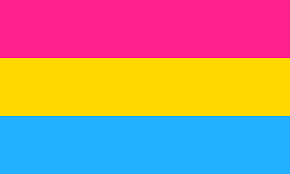 HAPPY PRIDE MONTH! 💋 The pansexual flag represents people whose attraction towards others is not determined<a href="/tag/humpday"class="tags"><span>#humpday</span></a>