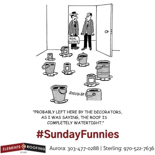 Isaacholguin9's tweet photo. #SundayFunnies https://t.co/LWC0VqN1Sn