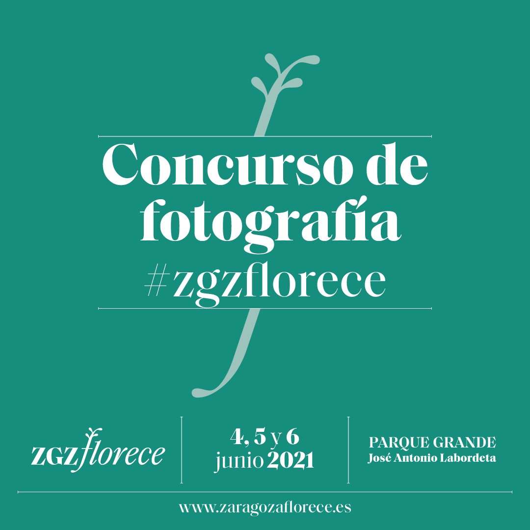 ZaragozaFlorece tweet media