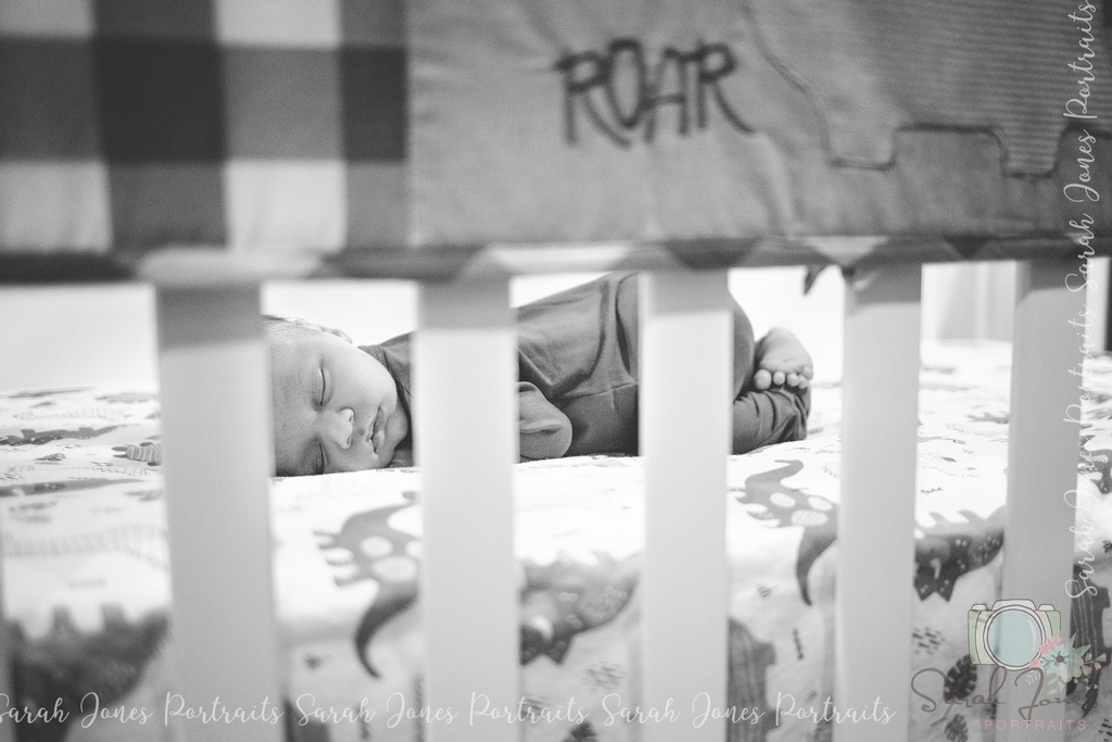 Shhh little dino sleeping.
.
.
.
#Sarahjonesportraits #newbornphotographer #newbornphotography #springhilltn #springhilltnphotographer #springhilltnphotography #newbornphotos #newbornportraits #newbornpictures