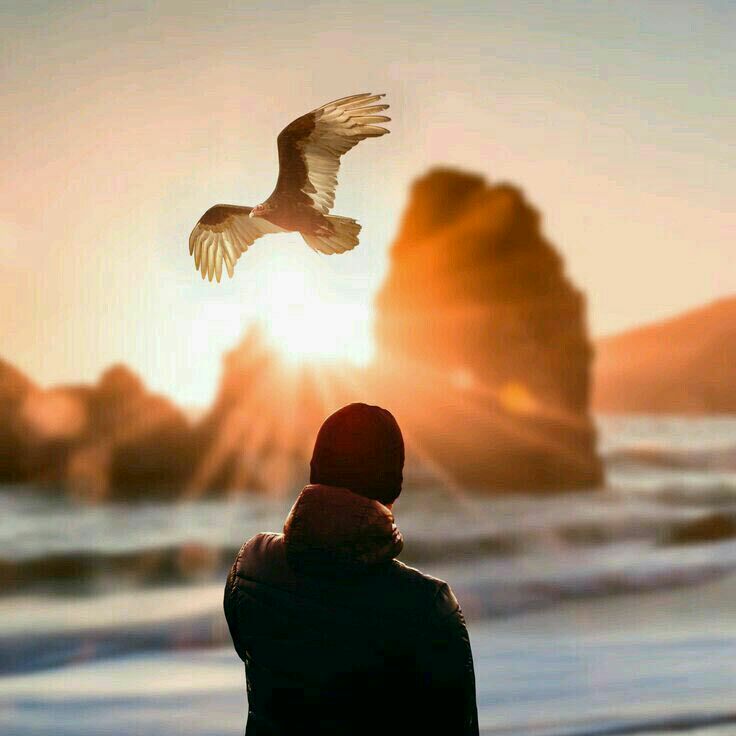 trfalzhwr's tweet photo. 🕊

.

.
" الحب هو المعجزة التي نبحث عنها جميعنا. فحب أنفسنا يصنع المعجزات في حياتنا. أنا لا أتكلم عن الغرور والأنانية ، لأن هذا ليس حبًا ، هذا خوف.
إنني أتكلم عن أن نكّن إحترامًا كبيرًا لأنفسنا وإمتنانًا لمعجزة جسدنا وعقلنا."

-ثق بالحياة | لويز هاي 📒

.

.

. https://t.co/bmuD4Wbwmc