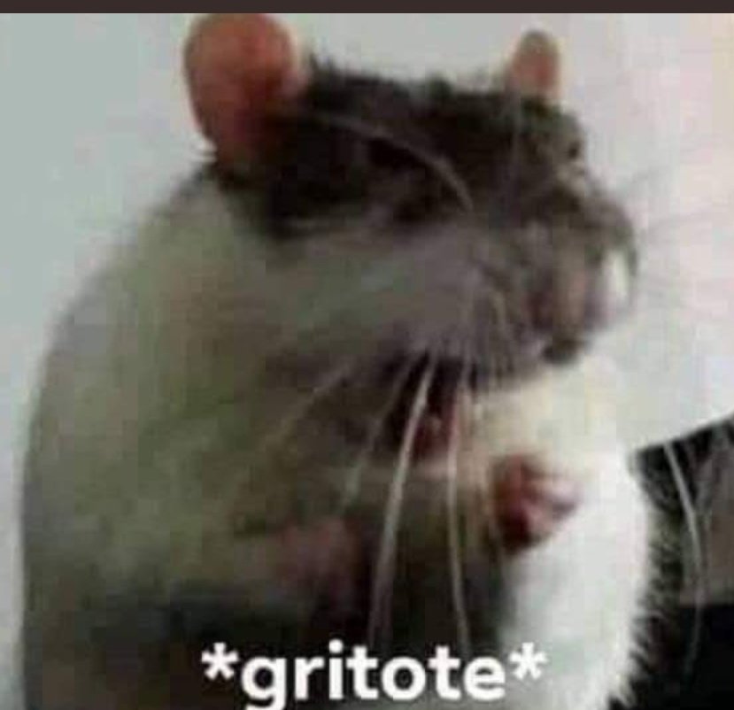 ANGIE ESTA EN CABA, ¿STREAM?
