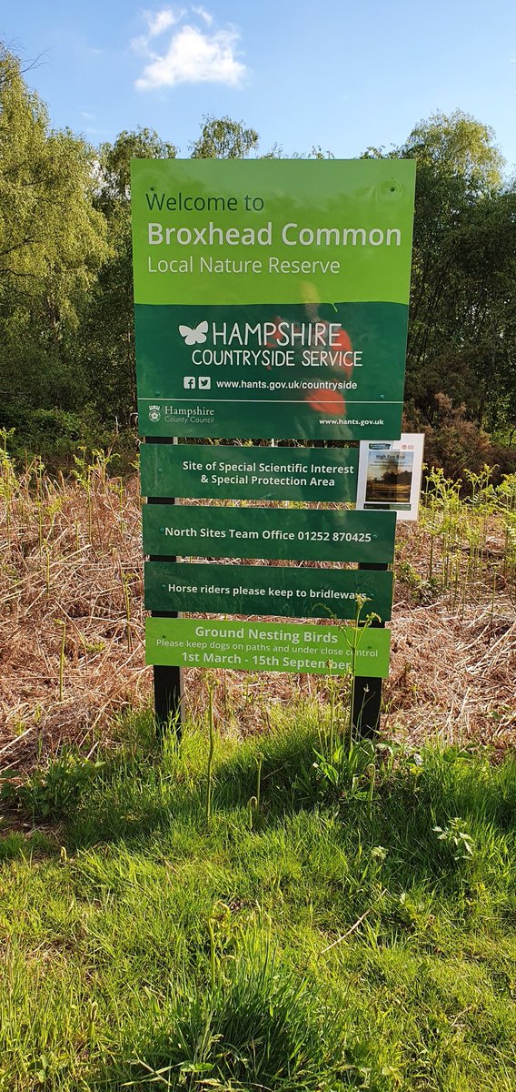 weeksy1027's tweet photo. I have attended a #wildfire ๐ฅ at #BroxheadCommon. It's a Site of Special Scientific Interest #SSSI due to ground nesting birds. A number of fires were deliberately set, all of which destroyed the cover these birds rely on. Contact @HantsPolice if you have any info @HantsIOW_fire https://t.co/NlB58QKRsJ