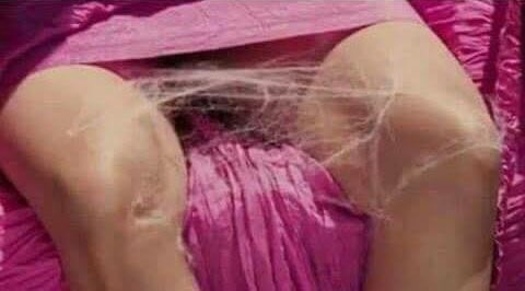 Diegohenric13's tweet photo. minha vida sexual nunca esteve tão morta https://t.co/BCc6x4cIVM