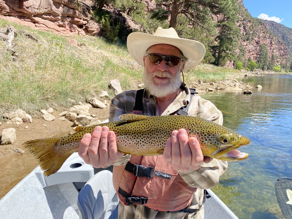 Preston Sumner tweet media