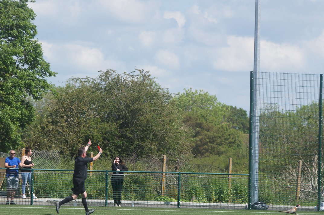 AndrewHazelden1's tweet image. #PheasantGate

A pitch invader of the feathered kind at Ringmer AFC this morning. As a pheasant landed on the pitch during the Sussex Sunday League Cup Final between Hangleton &amp;amp; Lokomotiv Lewes.

Refused to leave the pitch, so Referee Peter Izard sent him off!