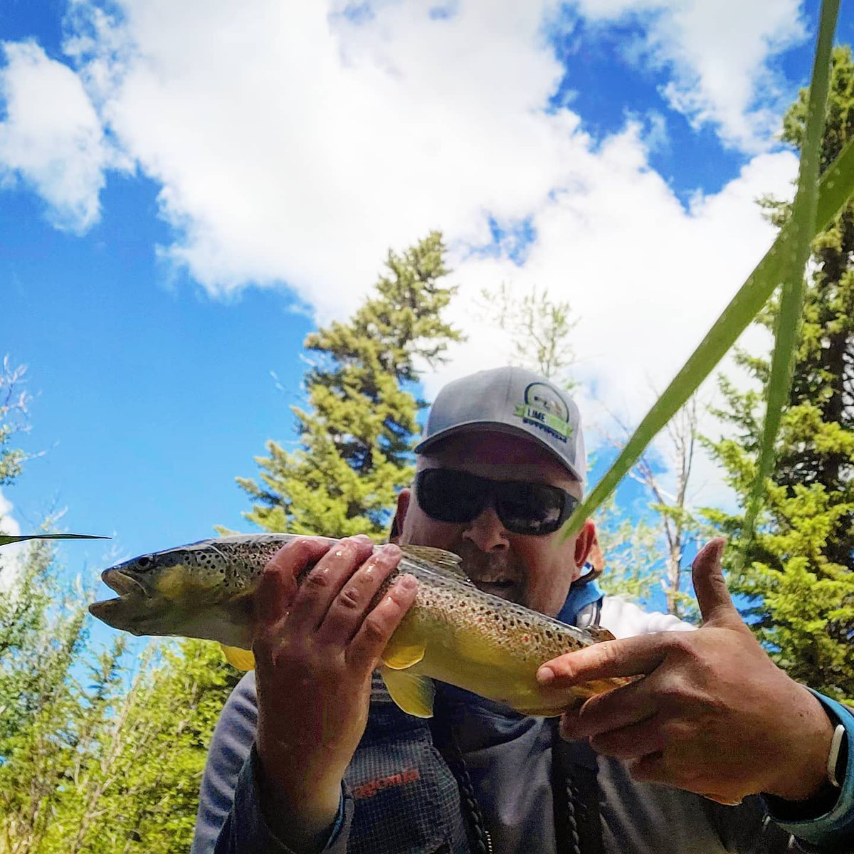 Limetrude's tweet photo. Salmonfly hatch just starting up on Frenchmans creek...quick tip...make sure your phone is locked to prevent random replies that make no sense to tweets...lol..sorry raisedinalsaka https://t.co/kw4tNxpFNj
