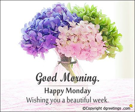 Rani GilL tweet media