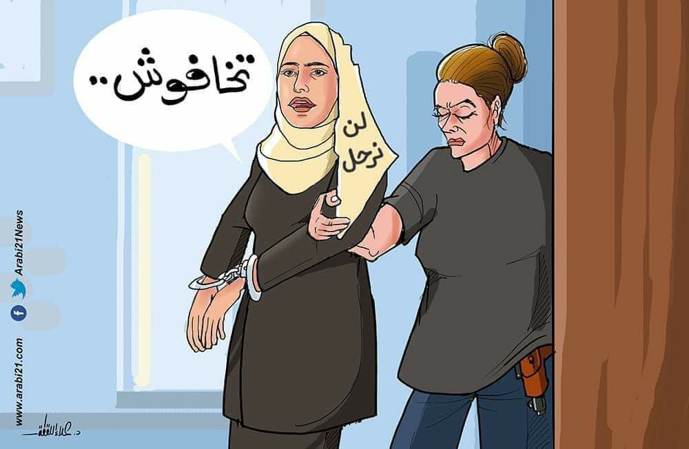 naturel_be's tweet photo. منى ما قالت " تخافوش" إلا لأنها عارفة وراها رجال بتهد جبال 💪

شموخ المقدسية الفلسطينية
#منى_الكرد أخت رجال
#الحريه_لمني_الكرد https://t.co/0sWDwoMmUP
