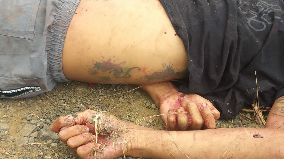 mintavillalba's tweet photo. 🚨SOS🚨

El cadáver de este jóven fué encontrado en la parte alta del barrio La Sirena, por Siloe, yendo para una finca que se llama "Miravalle".

No subo todas las imágenes pues son muy fuertes, pero hay claramente tortura en su rostro y cabeza.  Les hacen cosas horribles 🤬 https://t.co/nyraRtgjud