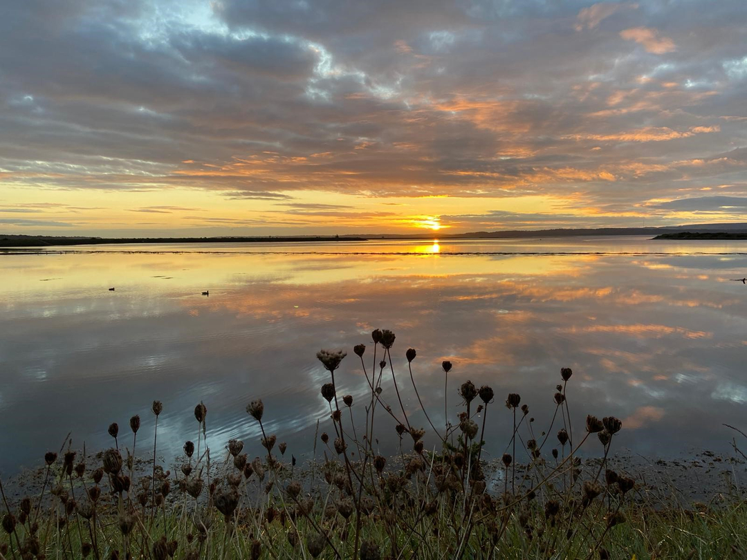 This glorious sunset reminds us why the New Forest is such a special place to live! 😍 
#lovewhereyoulive #newforest #sunset