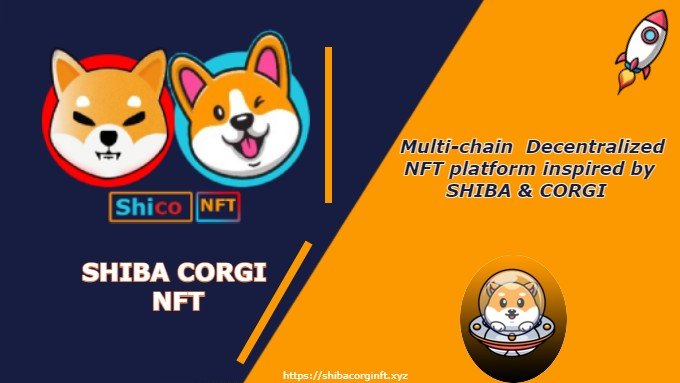 SHIBACORGI NFT tweet media