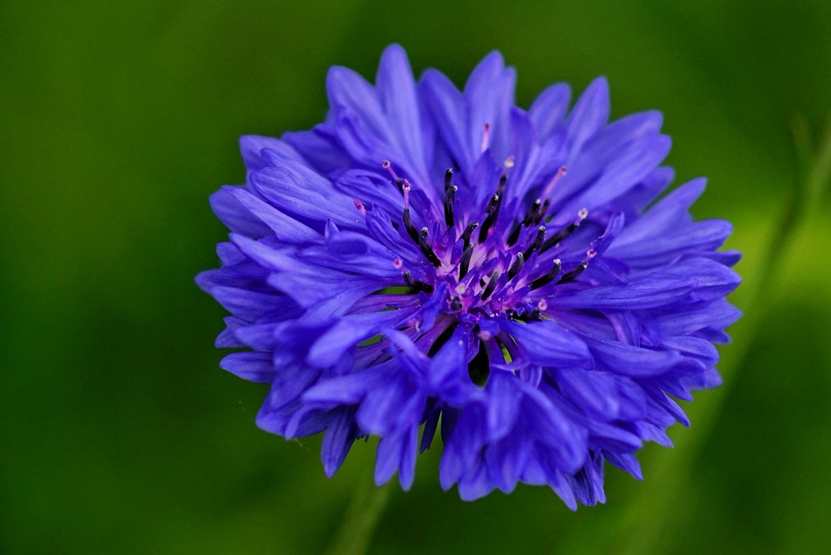 lupus_sch's tweet image. Ausflug zum Rotbachsee
#rotbach #rotbachsee
#sony #alpha77ii