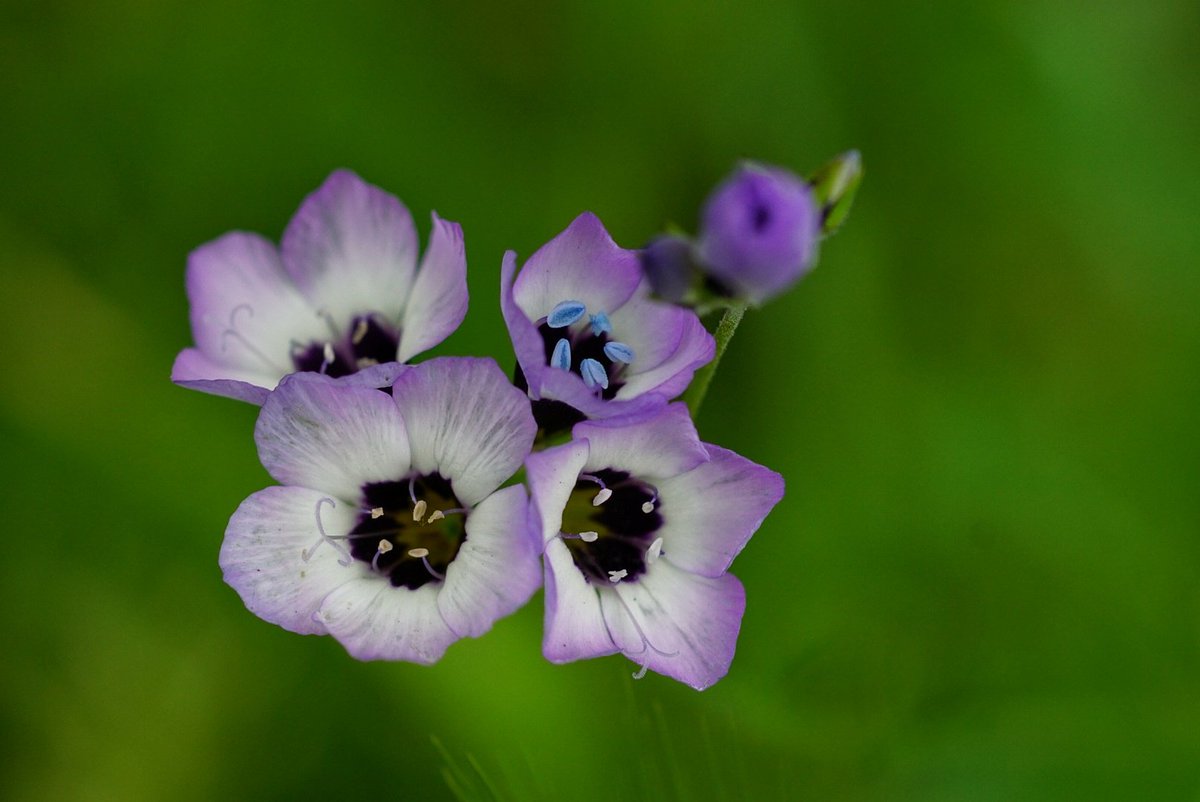 lupus_sch's tweet image. Ausflug zum Rotbachsee
#rotbach #rotbachsee
#sony #alpha77ii
