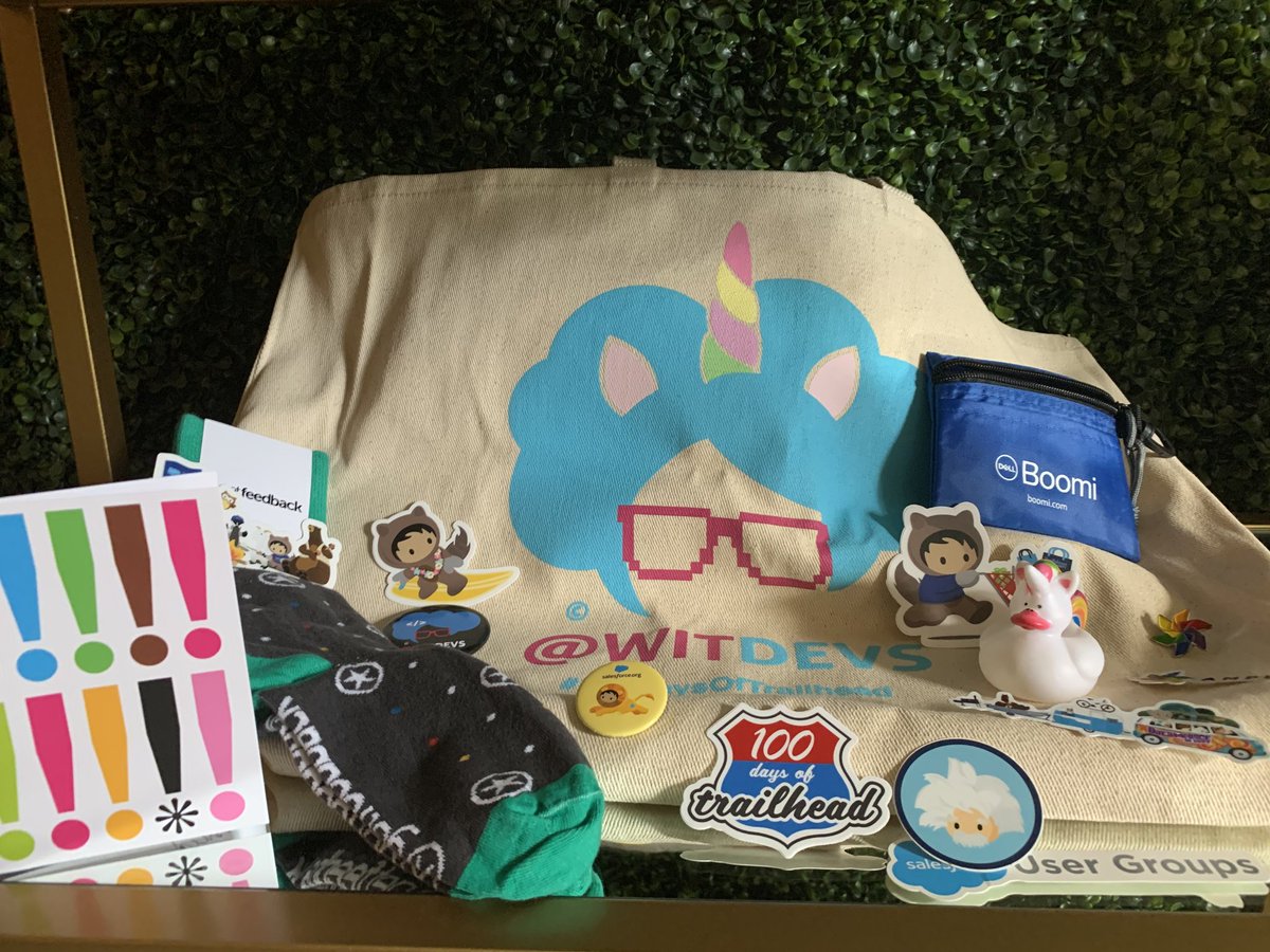 Thank you @100DayTrailhead @TheRachelWatson @jessicarmurphy for the swag!!! I appreciate all that you did to help me achieve my goals this year and am very grateful for the experience and support! 🥰 @WITDEVS <a href="/AmplifyNGO/">Amplify</a> #100DaysofLearning #AwesomeAdmin