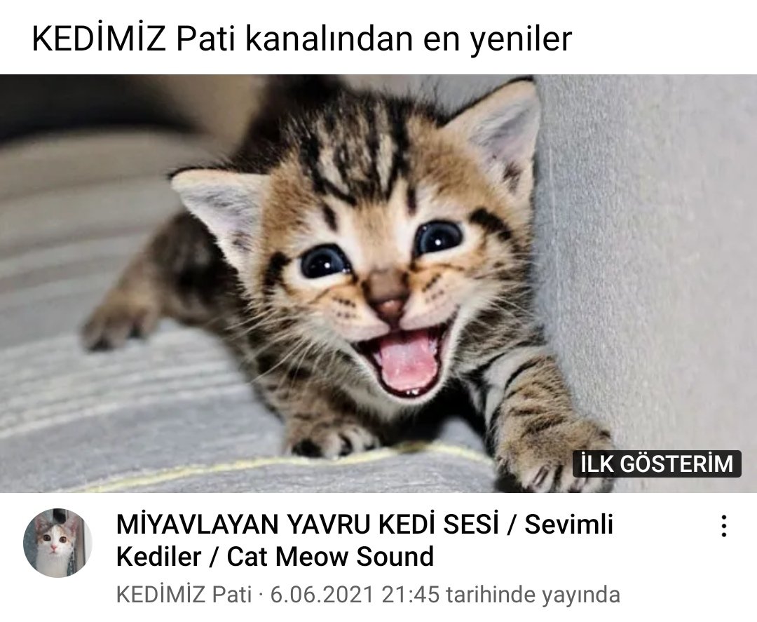 Yeni videomuzu izlermisiniz 🙏🥰
youtu.be/E7HYV1PXOn0