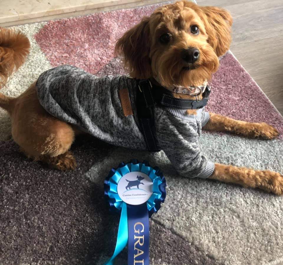 Love this little dude 🥰