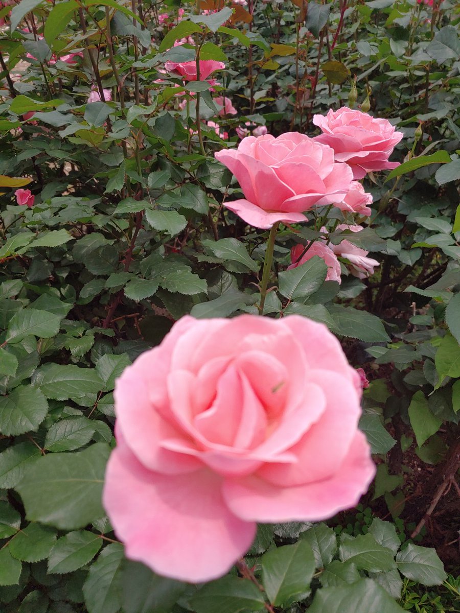 #인간관계의 369ㆍ248ㆍ911 #법칙 
 
■369 법칙■ 

사람 사이는
세번 정도 만나야 잊히지않고 
 
여섯번 정도 만나야
마음의 문이 열리며 
 
아홉번 정도 만나야
친근감이 느껴지기 시작한답니다 
 
누군가와 좋은 관계를 만들고 싶다면
369 법칙을 기억하세요 
 
최소한 아홉번 이상은 꾸준하게