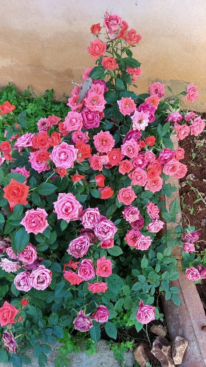 "Kendine iyi bak, bir daha hiç bir ana doğurmaz seni."

#AhmedArif