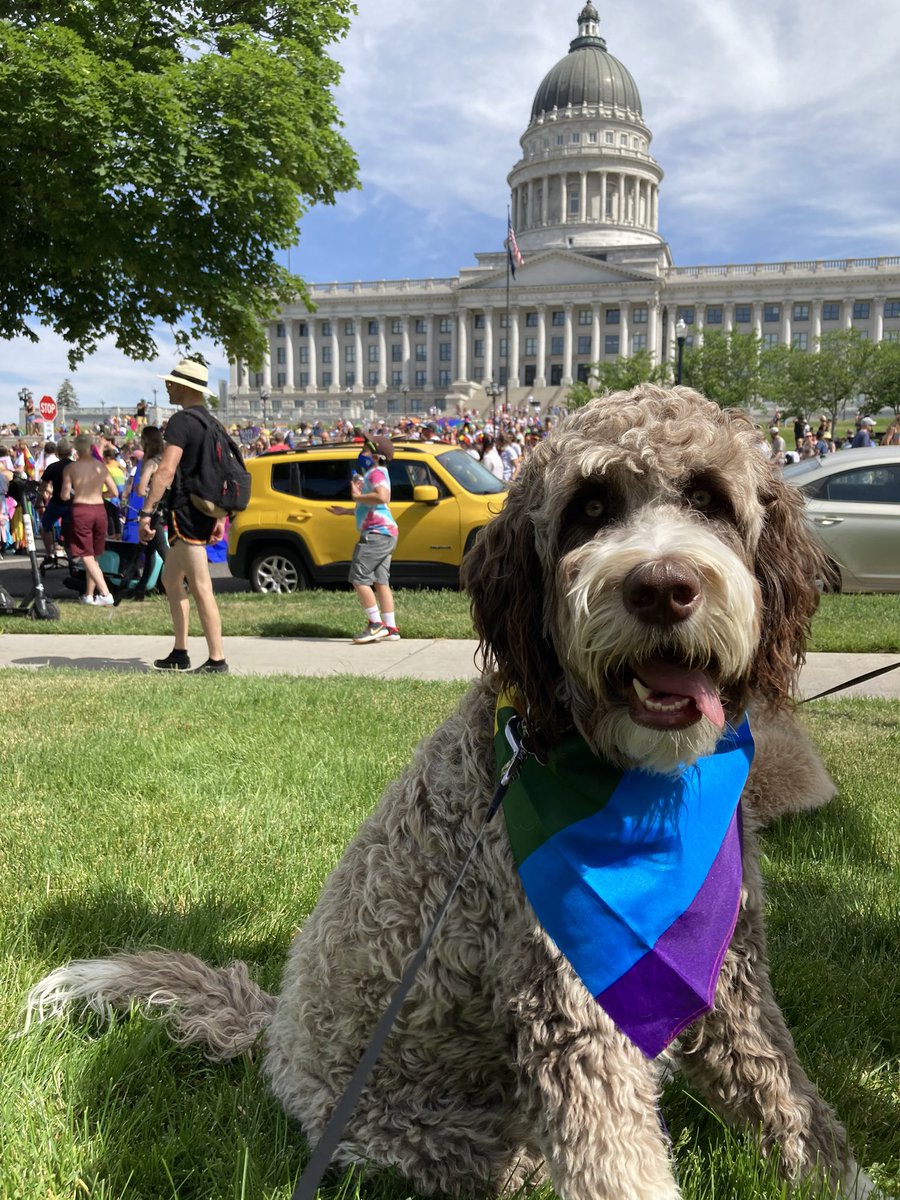 BackmanTalia's tweet image. Happy pride everyone❤️🧡💛💚💙💜🖤The pups are #allys