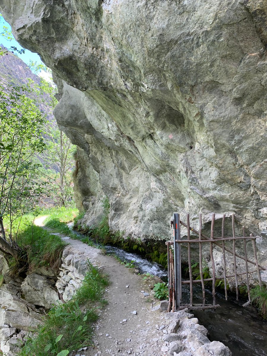 VroniRubin's tweet photo. Little hike!
#Suonenwanderung #Wallis #Valais #Underi #WallisInsHerzGemeisselt https://t.co/45dXSuLm2c