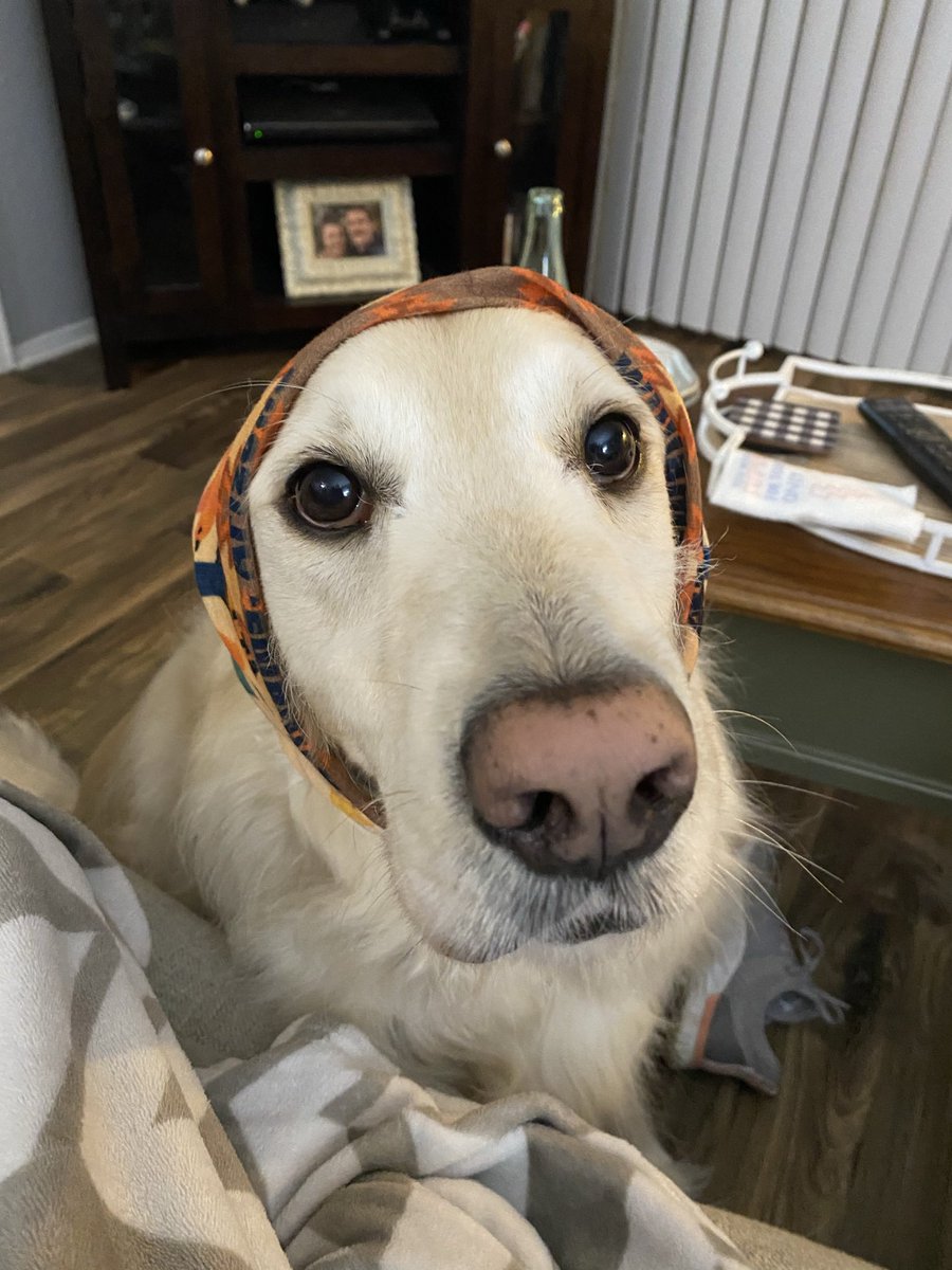 DaaangDarnelle's tweet photo. @lynn2wine Babushka yogi https://t.co/DkV36SZvfs