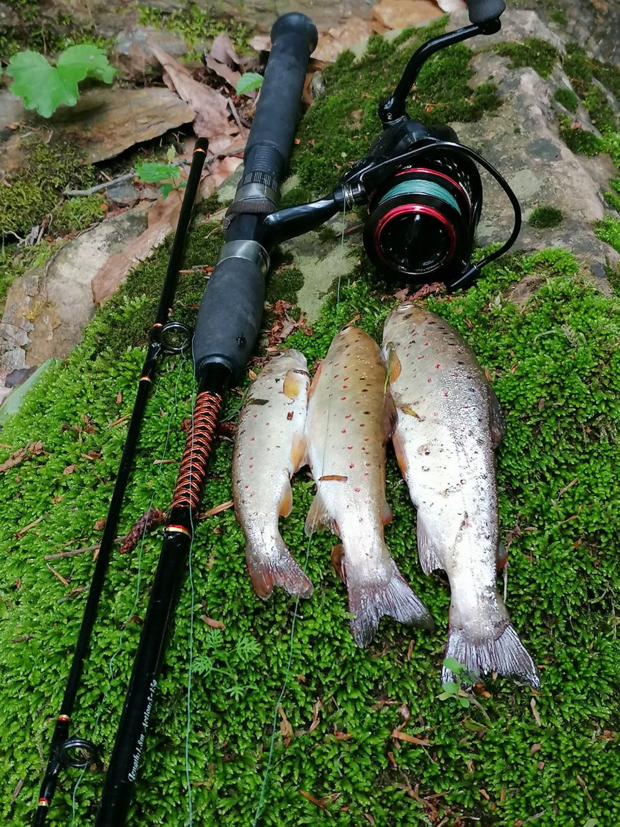 spinbalikci's tweet photo. #turkey
#spinbalikci 
#okuma 
#shimano
#daiwa 
#daiwaturkiye
#dam 
#fladen 
#levrek
#lüfer
#savagegear 
#fishing
#spin
#insfish 
#fisher 
#lrf
#huntress
#keşfet 
#kesfet 
#fish 
#balikavi
#balıkaşkı 
#hamsi
#balıkçı 
#balıkçılık 
#istavrit
#balık
#palamut
#çapari
#alabalık https://t.co/IxsvK2uqG6