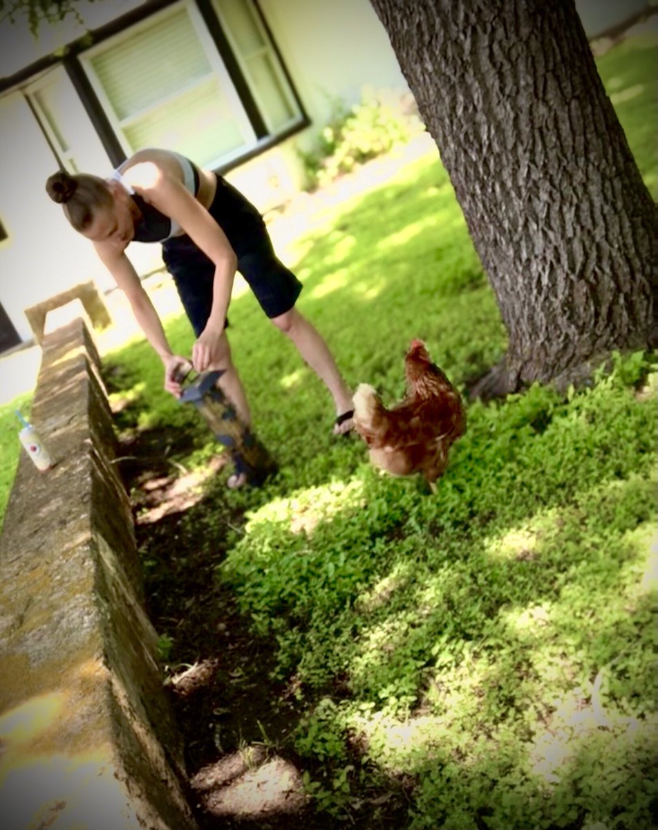 Jenny the chicken whisperer is at it again!  #chicken #chking #ChickfilA #SundayMorning #sundayvibes https://t.co/UXjqM7fAhs