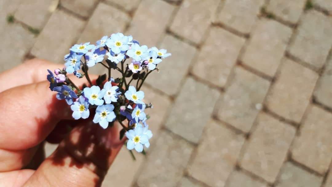 "They hadn’t come here to fear. They hadn’t come to die. They had come to win.” 
~Stephen E. Ambrose~

#dday2021 
#DDay