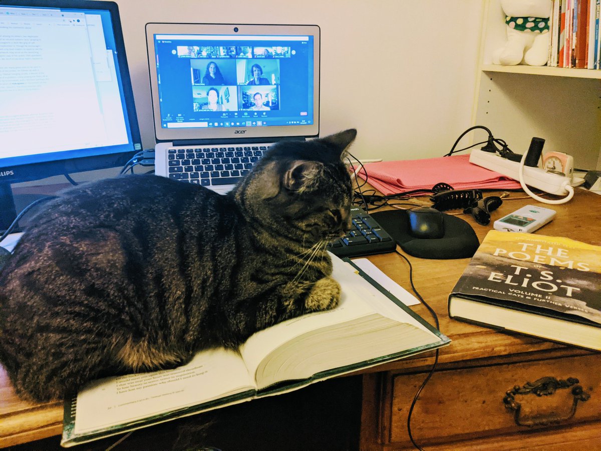 bitofkit's tweet photo. Thank you to @IntlTSEliotSoc for the mini conference. I think the cat liked it too? Sadly not the most practical of bookmarks, however. https://t.co/Ma6Lq38EYr