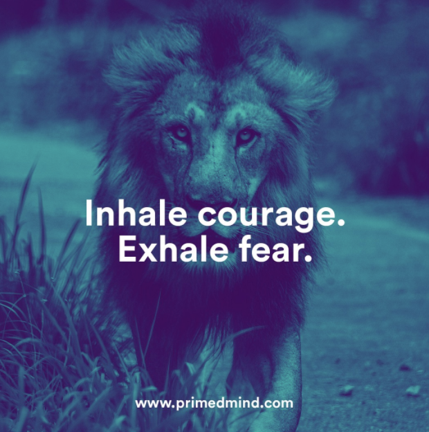 primedmind's tweet photo. Inhale Courage. Exhale Fear🌬
Click here to download the #1 mindset coaching app today for free ➡️
https://t.co/gGMX9ZP76z
#primedmindapp #hypnotherapy #meditation #guidedmeditation #quarantine #isolationmotivation https://t.co/LEr6VYBJzT