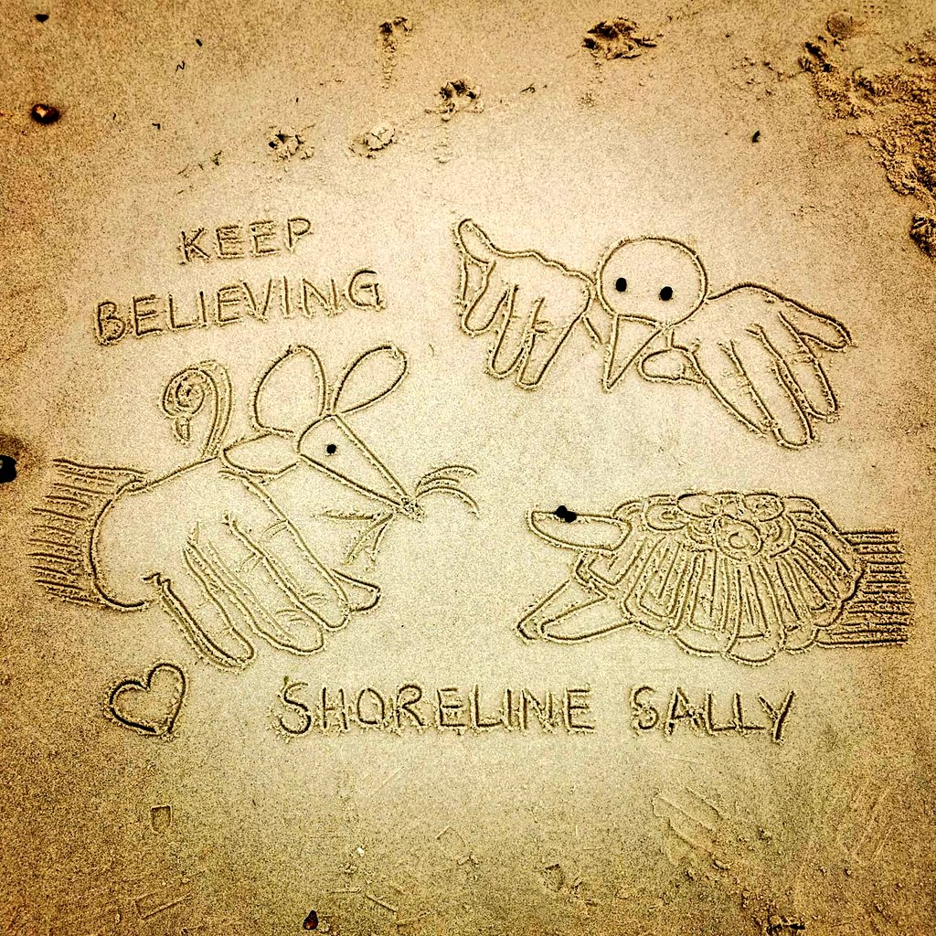 DigiDaughter's tweet photo. Spooky ol' sea fret ☁️☁️☁️
Keep Believing 🐁 #Fingermouse #GullivertheSeagull #Fingerbobs #FlashtheTortoise #yoffy #RickJones #WatchWithMother 
💛 #StaySafe #sanddrawing #beachart 🌊🌊🌊 #Lockdown2021 #morale #VitaminSea #comics #cartoons ✍️ #SandBanksy #shorelinesally No.960-2 https://t.co/SmOwWm47v4