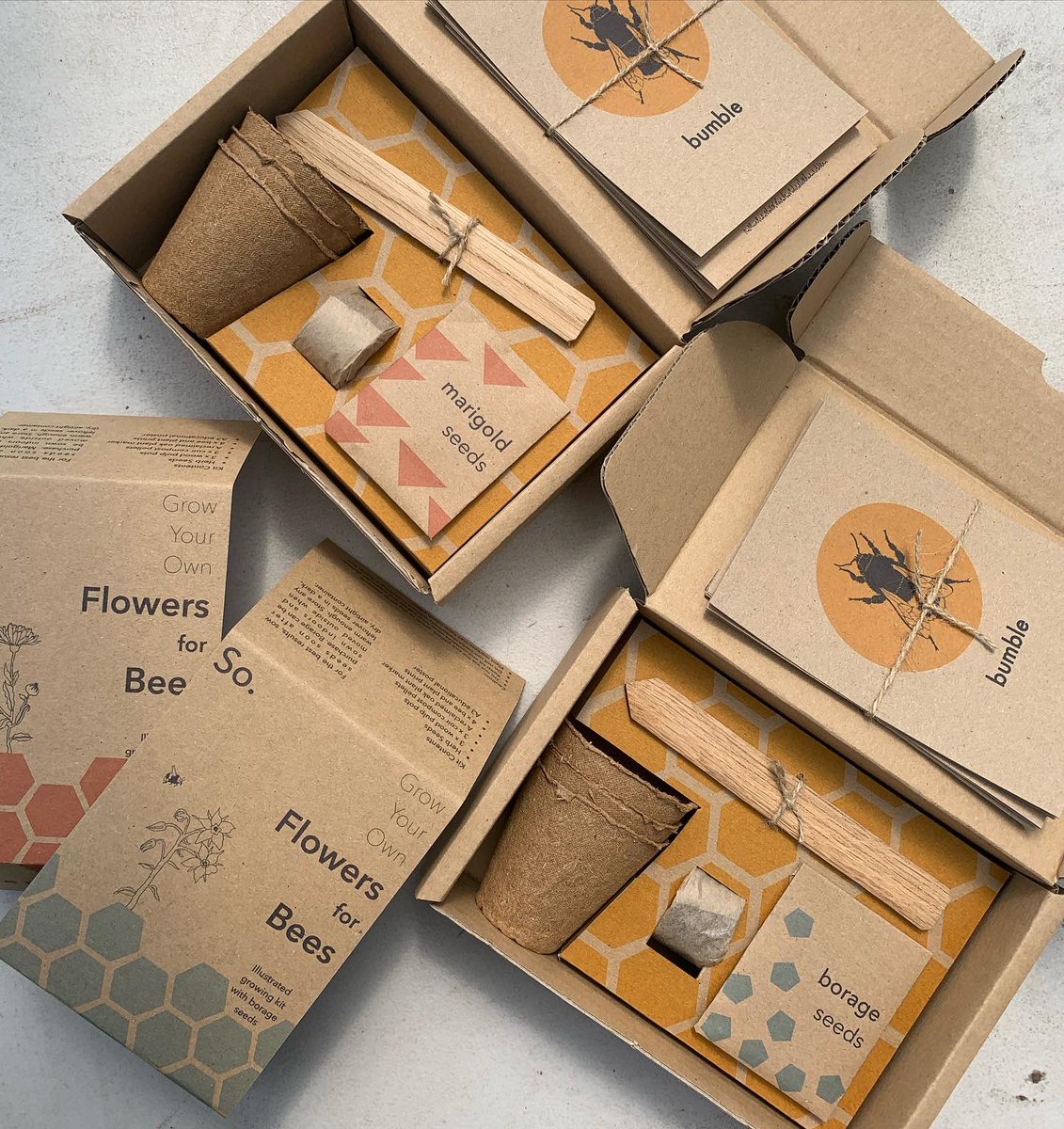 CypGProject's tweet photo. We are so grateful to https://t.co/U4luS3ThAN for their generous donation of fantastic seed sowing kits for our children and young people #soseedkits #herbs #flowers #bees #sustainability #seedkits #marigolds #borage #chives #childrensproject #younggardeners #100%biodegradable https://t.co/6Y47dBbUzO
