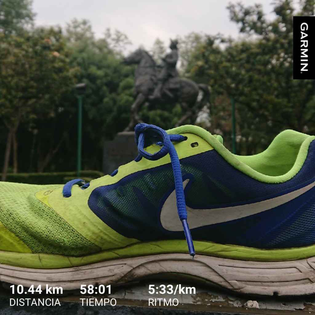 Darth_Homer's tweet photo. Sin perder la costumbre de cada domingo, listos los #KmsFelices.. Es hora de ir a votar 🗳
#FelizDomingo #EleccionesCDMX #CannotStopRunning #LosCobardesTeam #LonelyRunnerTeam #RetoModelo #RunningSunday #AcaEntreRunners #AcideSportsWear 🏃🏽#MiVicioEsCorrer https://t.co/DSoK7JZwBp
